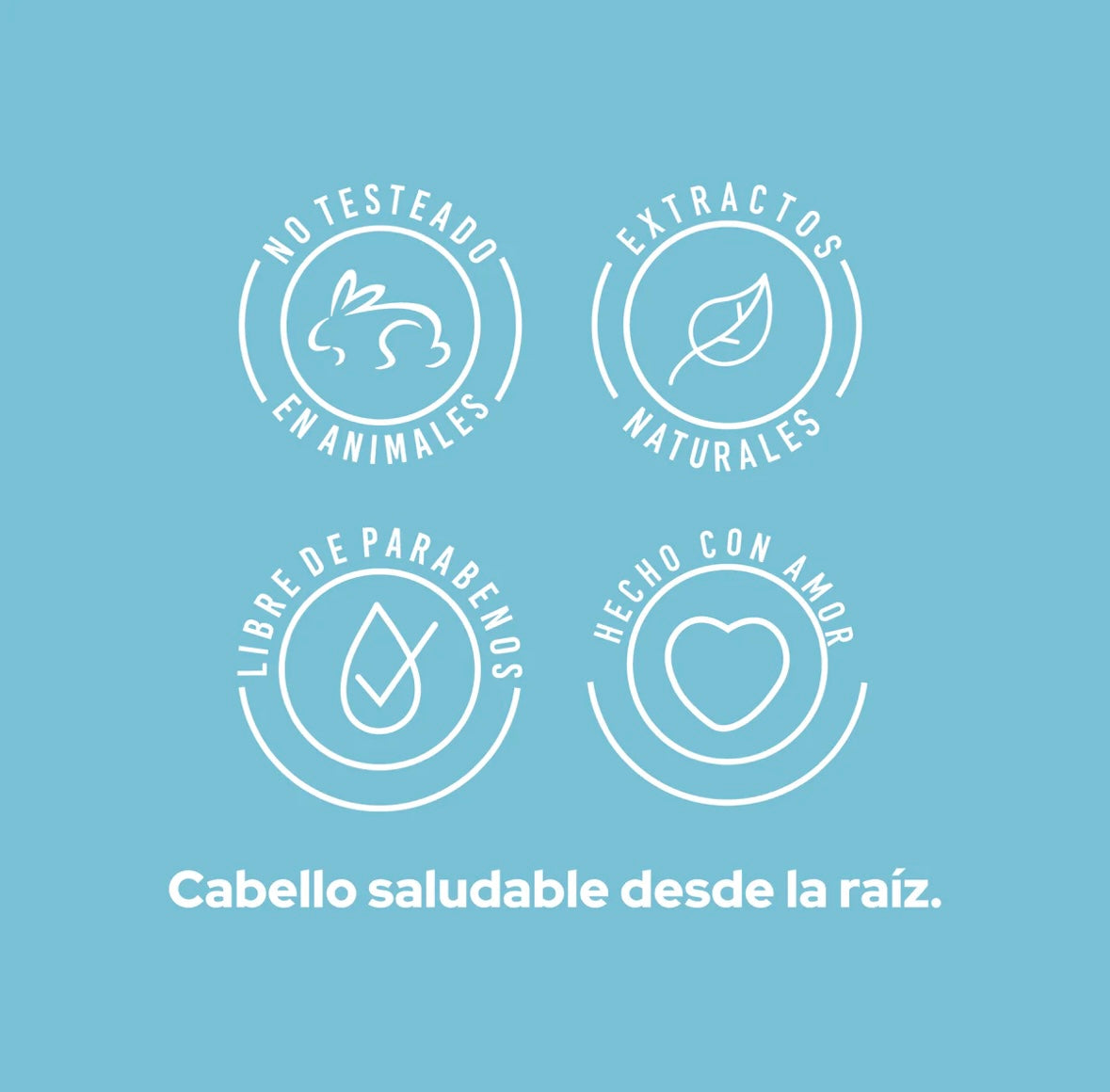 Shampoo anticaspa Anyeluz