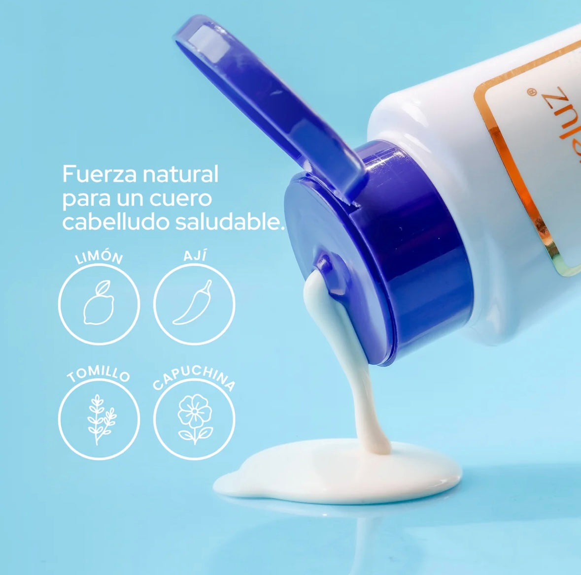 Shampoo anticaspa Anyeluz