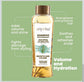 Shampoo con romero Anyeluz