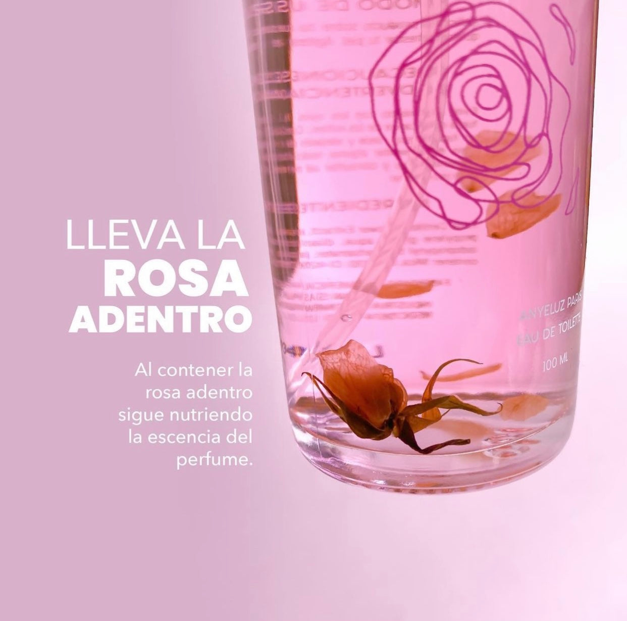 Perfume de Rosas Anyeluz